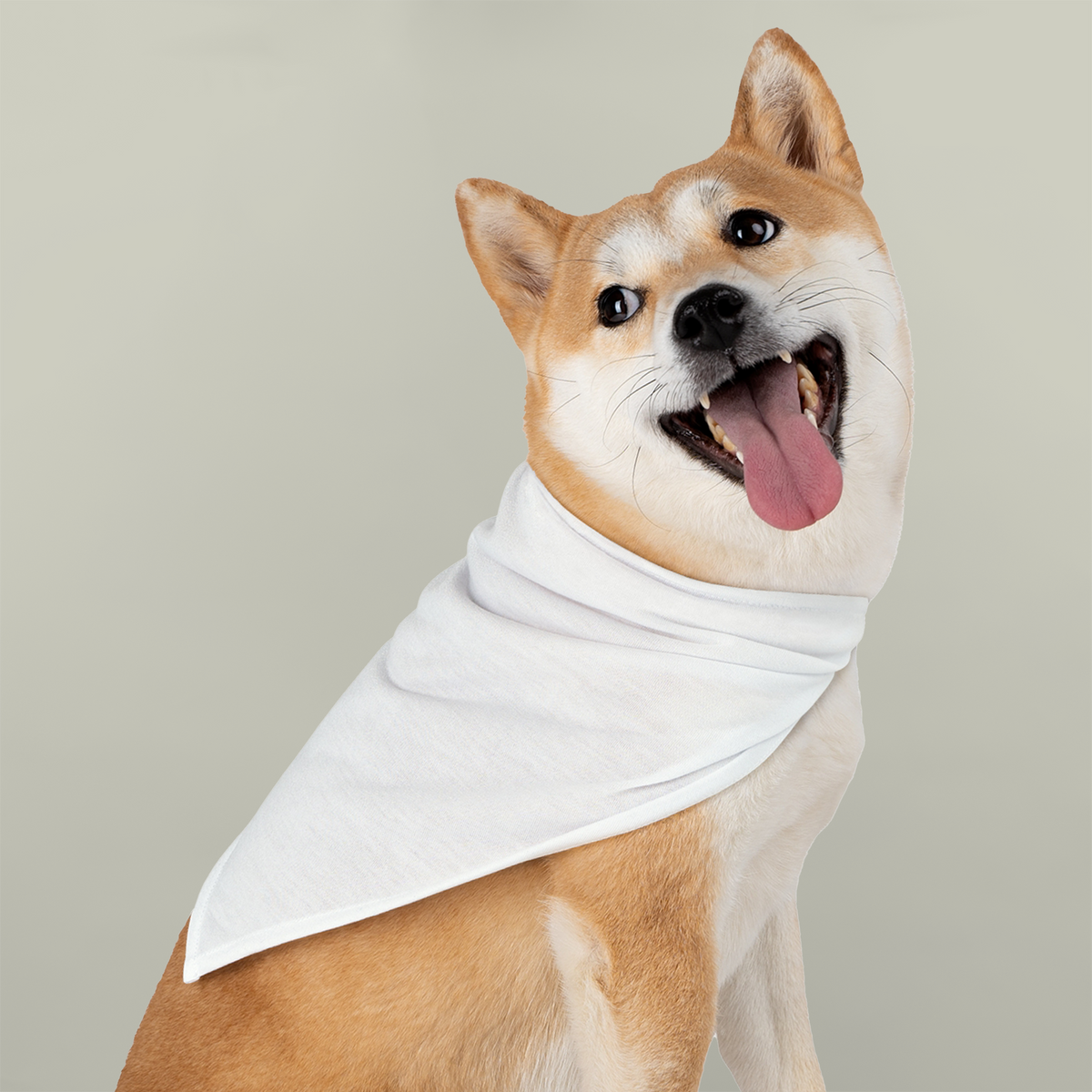Custom Pet Bandana